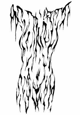 torso